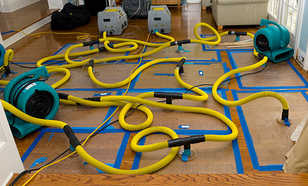Professional Structural Drying And Dehumidification technician working in Smithville, TX